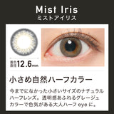 REVIA 1DAY MIST IRIS  10P