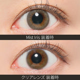 REVIA 1DAY MIST IRIS  10P