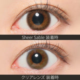 REVIA 1DAY Sheer Sable  10P