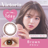 Victoria 1DAY Brown 10P