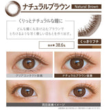 EVERCOLOR 1DAY  Natural BROWN 20P